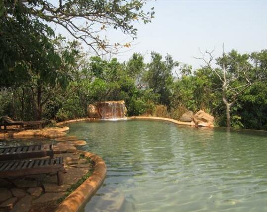Wildernest - Photo2