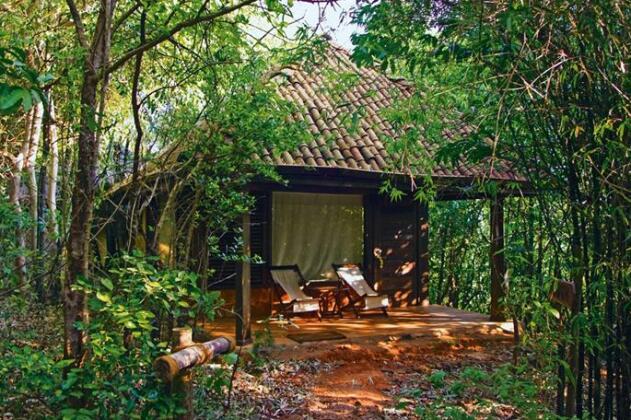 Wildernest - Photo3