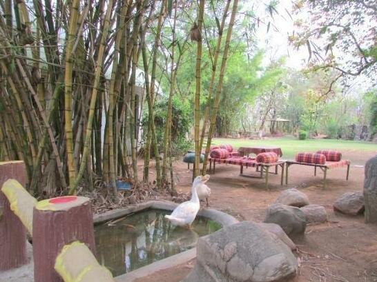 Mowgli's Den - Photo5