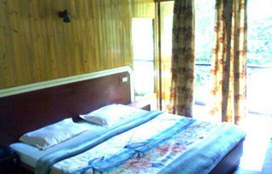 Hotel Blue Diamond Shimla - Photo2