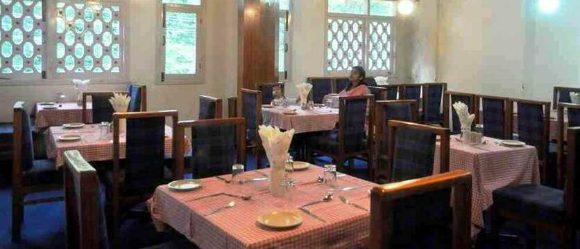 OYO 12061 Hotel Pine View - Photo5