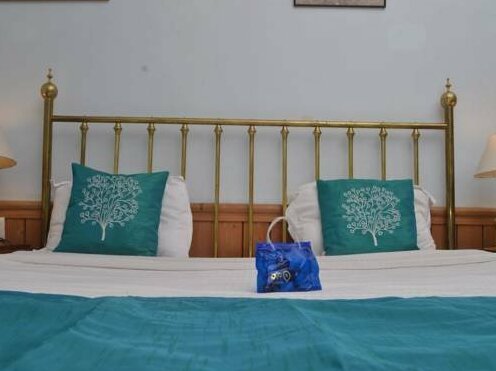 OYO Premium Heritage Palace Shimla - Photo5