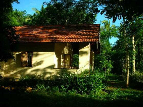 Guest House Kerala - Photo3