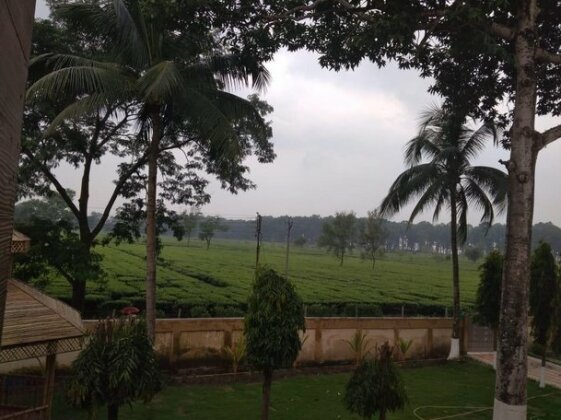 Saraswatipur Tea Resort - Photo4