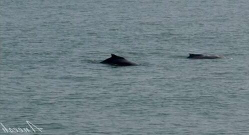 Konkan Explorers - Photo3