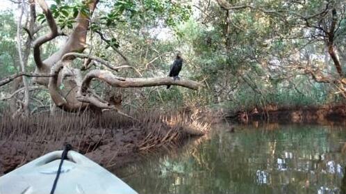 Konkan Explorers - Photo4