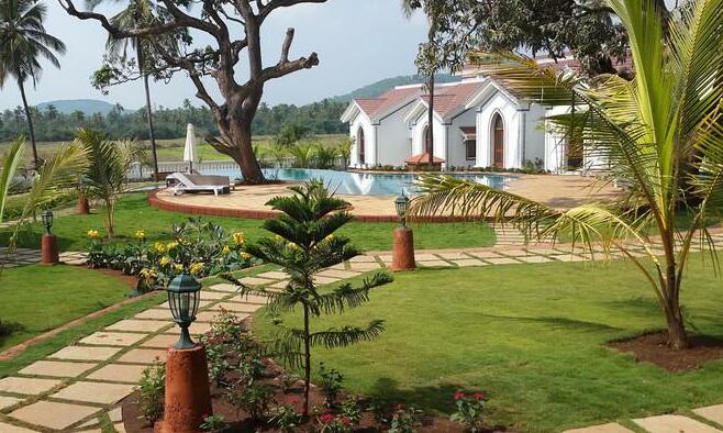 Studio Apartment in Siolim - Photo2