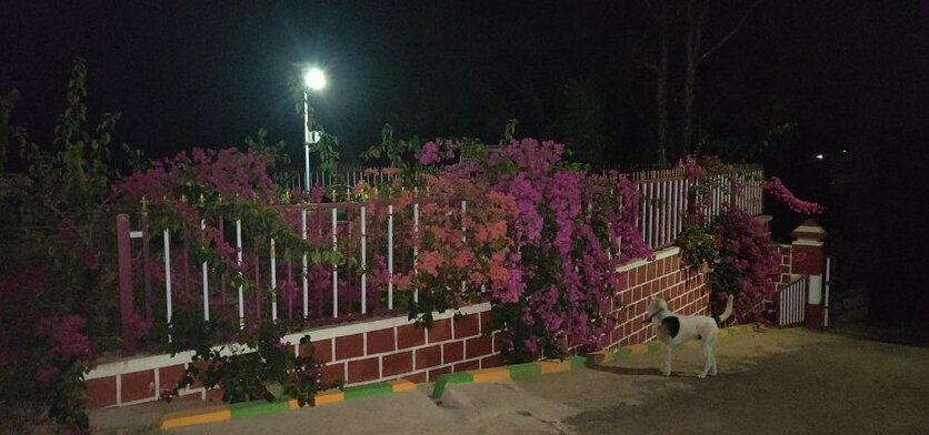 Aloka Residency - Photo2