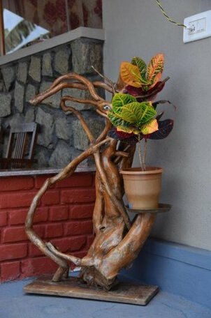 Hill Woods Cottage - Photo4