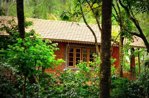 Tropical Rain Coorg - Photo2