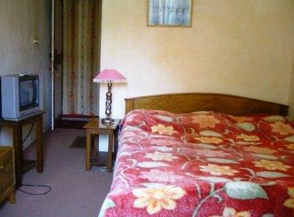 Blooming Dale Hotel - Photo3