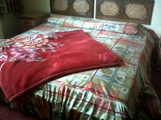 Grand Hotel Srinagar - Photo4