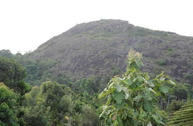 Beth Haran Serviced Villa - Photo2