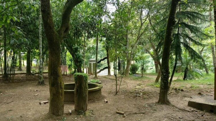Fort Hill Wildlife Resort - Photo4