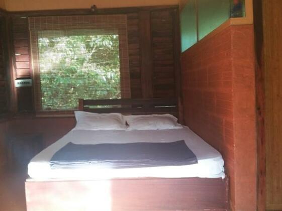 Jungle zone Sultan Bathery - Photo4
