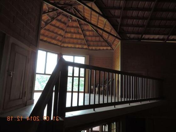 The Blue Lotus - Photo2