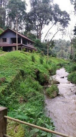Kwality Estate