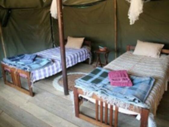 Camp Calista Tents - Photo5