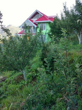 Homestay - Pear Blossom Home Stay Shimla