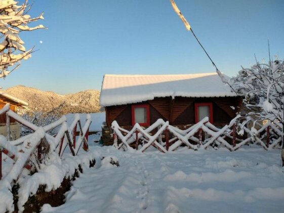 Kings Hills Cottages - Photo2