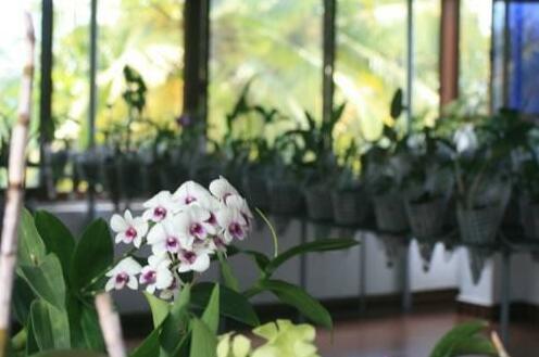 Kailas Holiday Inn Kovalam - Photo2