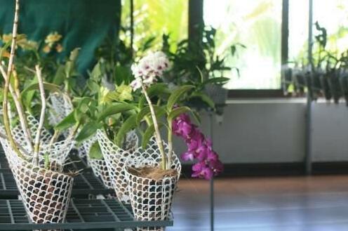 Kailas Holiday Inn Kovalam - Photo5