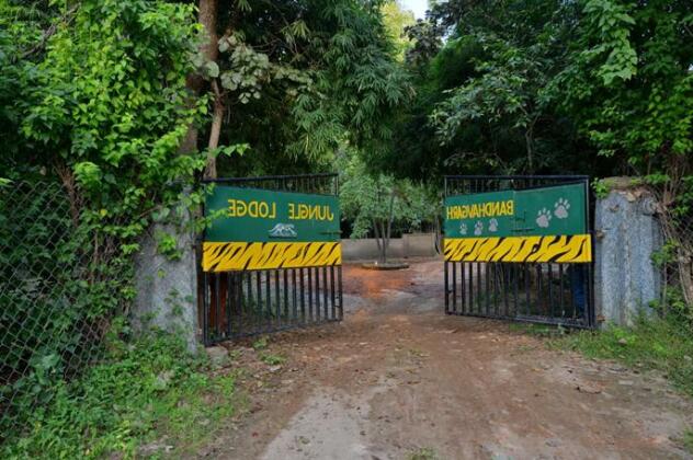 Bandhavgarh Jungle Lodge