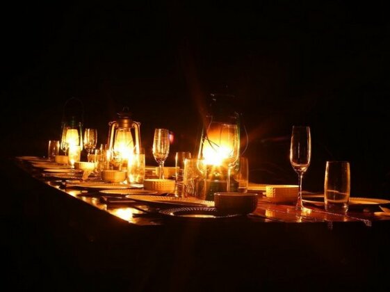 Bandhavgarh365 - Photo2