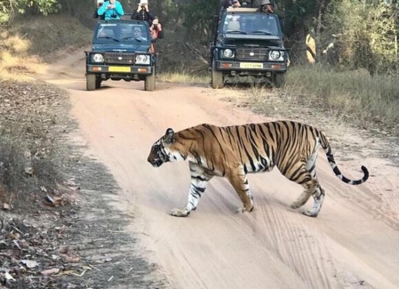 Emerald Tiger Retreat - Photo3
