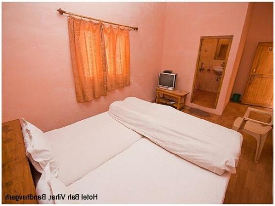 Hotel Bagh Vihar - Photo3