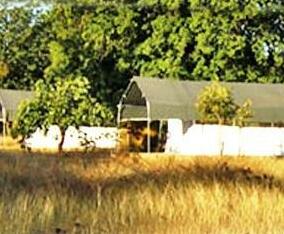 Wild Haven Resort - Photo4
