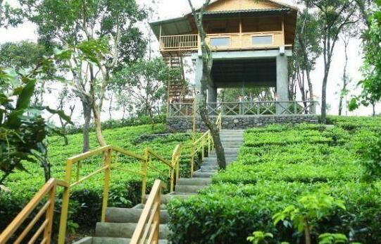 Holiday Vagamon - Photo5