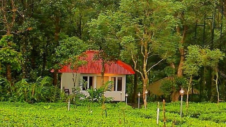 Orma Farm Resort - Photo4