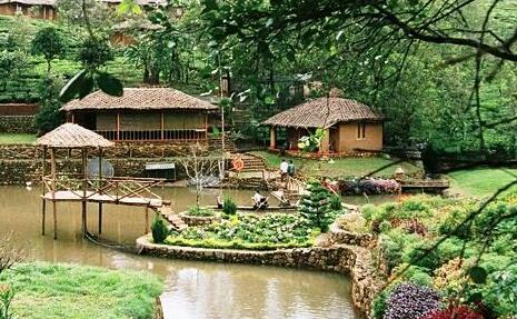 Saj Vagamon Hideout - Photo5