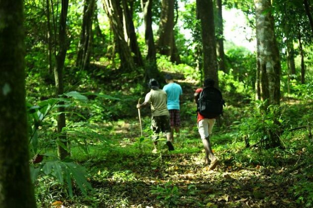 Vagamon Heights - Photo5