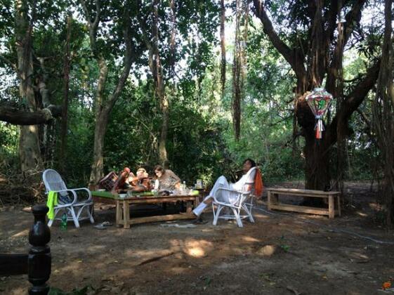 Magic Forest - Photo3