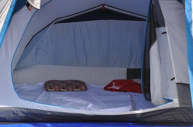 Wildwood Campfires - Photo4
