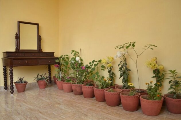 Tara Guest House Varanasi - Photo3
