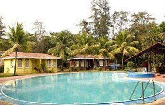 Varca Palms Beach Resort - Photo5