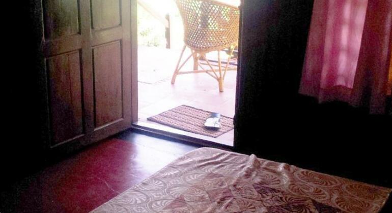 Palm Tree Bungalow - Photo2