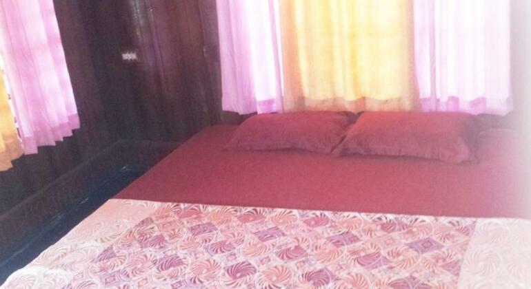 Palm Tree Bungalow - Photo3
