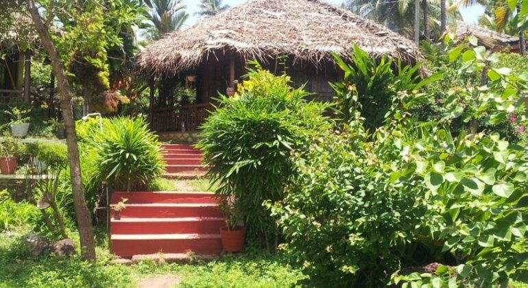 Palm Tree Bungalow - Photo5