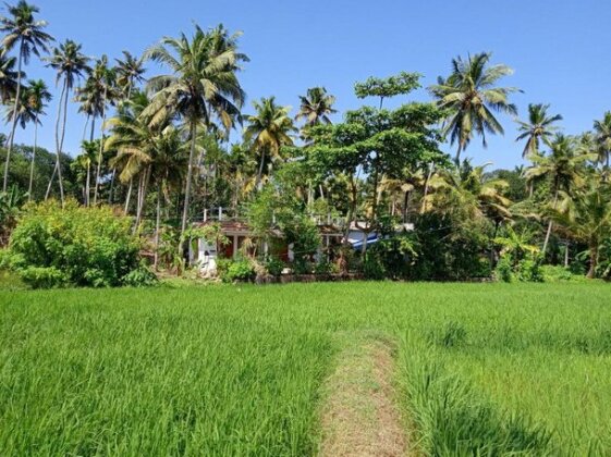 Parrot Bay Homestay - Photo2