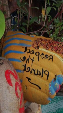 Parrot Bay Homestay - Photo3
