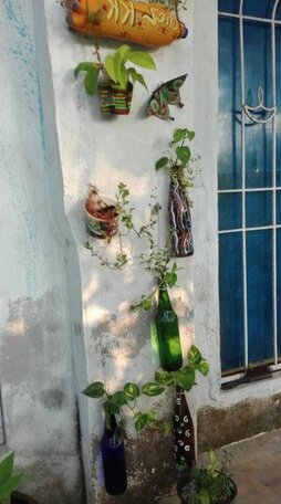 Parrot Bay Homestay - Photo4