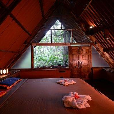 Homestay MP - Photo2
