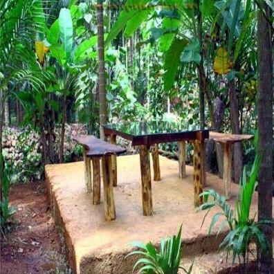 Homestay MP - Photo3