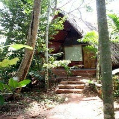 Homestay MP - Photo4