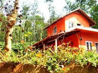 Coffee Cabana Bed & Breakfast - Photo2