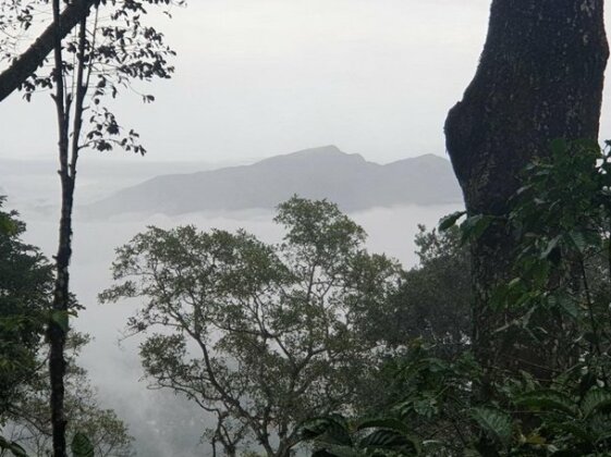 Misty Hill Heaven on Earth - Photo4